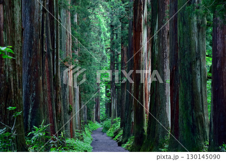 長野県　戸隠神社 130145090
