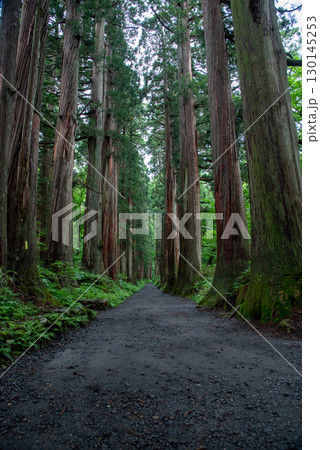 長野県　戸隠神社 130145253