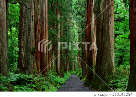 長野県　戸隠神社 130145254