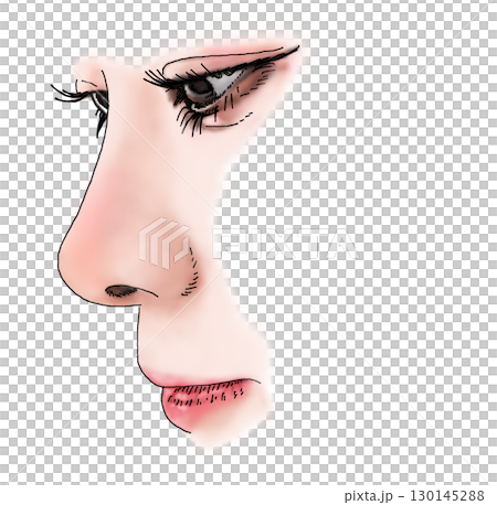 美しい横顔の女性のペン画イラスト 130145288