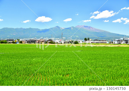 佐久市前山より浅間山方面を望む(長野県佐久市)【2025.6】 佐久市前山より浅間山方面を望む(長野県佐久市)【2025.6】 130145730