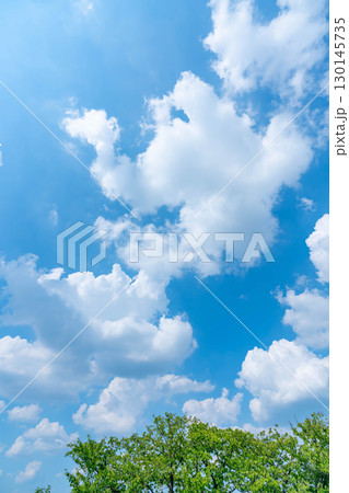 青空と雲と木立 130145735