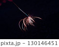 夏の風物詩の線香花火 130146451