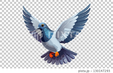 翼を広げて飛ぶ鳩のイラスト 130147293