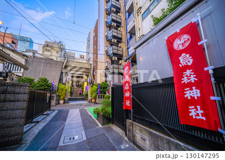 日本の東京都市景観 新橋・烏森神社などを望む 日本の東京都市景観 新橋・烏森神社などを望む 130147295
