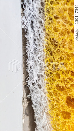 Abstract Close Up of Yellow Sponge with White Network Pattern Texture 130147544