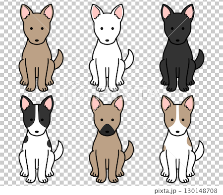 各種顏色和圖案的狗、救援犬和混種狗 各種顏色和圖案的狗、救援犬和混種狗 130148708