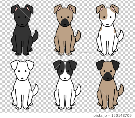 各種顏色和圖案的狗、救援犬和混種狗 各種顏色和圖案的狗、救援犬和混種狗 130148709