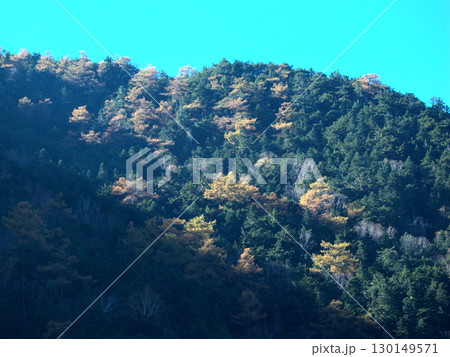 日に照らされる紅葉の山 日に照らされる紅葉の山 130149571