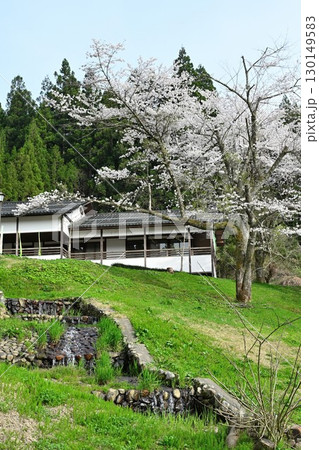 下条川ダムの桜（新潟県） 130149583