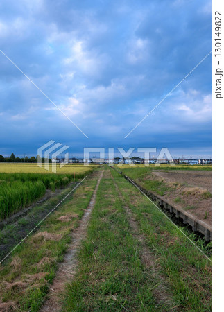 （田園風景）畦道と田んぼと住宅街 130149822