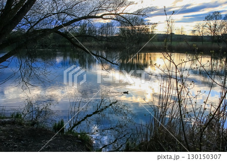 Spring Landscape at the Lake with Reflections Spring Landscape at the Lake with Reflections 130150307