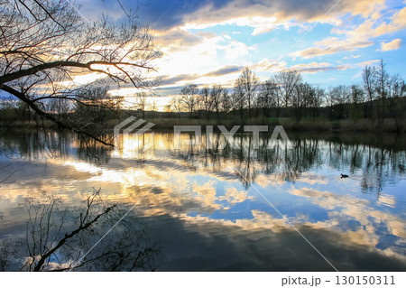 Spring Landscape at the Lake with Reflections Spring Landscape at the Lake with Reflections 130150311
