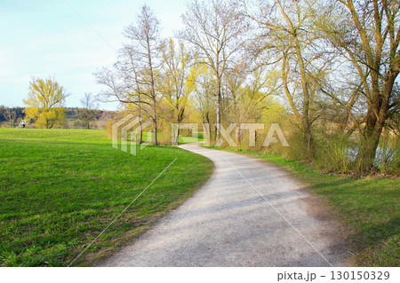 Spring Vegetation in the Park with Grass and Trees Spring Vegetation in the Park with Grass and Trees 130150329