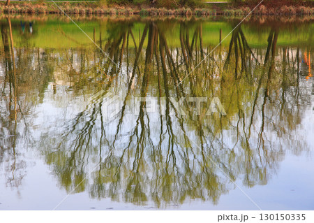 Spring Landscape at the Lake with Reflections 130150335