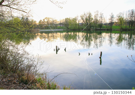 Spring Landscape at the Lake with Reflections 130150344