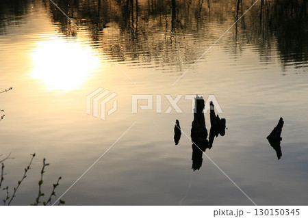 Spring Landscape at the Lake with Reflections 130150345
