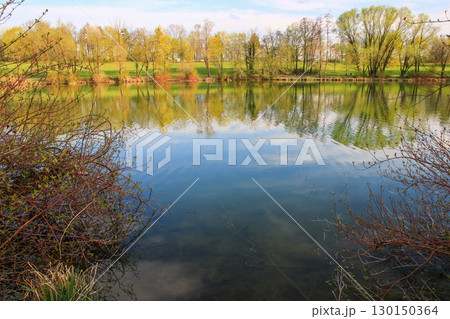 Spring Landscape at the Lake with Reflections Spring Landscape at the Lake with Reflections 130150364
