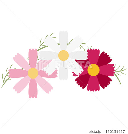 カラフルなコスモスの花の装飾素材 130151427