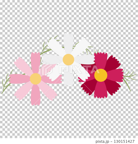 カラフルなコスモスの花の装飾素材 130151427