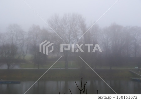 Misty River Trees Shrouded in Fog 130151672