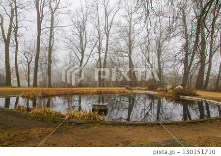 Autumn Trees Reflected in Calm Lake 130151710