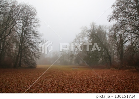 Foggy Autumn Trees in the Park 130151714