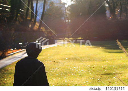 Beautiful Autumn Park Landscape with Warm Morning Light 130151715
