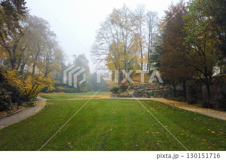 Vibrant Autumn Park Landscape with Trees and Grass 130151716