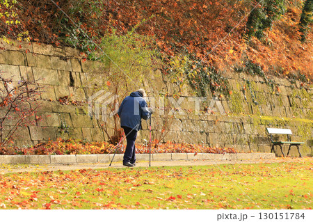 Elderly Woman Walking with Canes in Autumn Park Elderly Woman Walking with Canes in Autumn Park 130151784