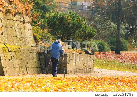 Elderly Woman Walking with Canes in Autumn Park 130151785