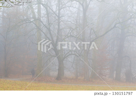 Dense Fog Covering Park Path on Autumn Morning 130151797