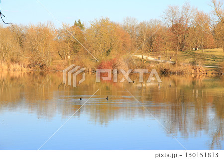 Peaceful Autumn Lake Surrounded By Vibrant Colorful Trees 130151813