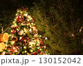 ライトアップされた屋外のクリスマスツリー 130152042
