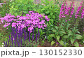 ピンクと紫の花々が美しいガーデン 130152330