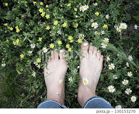 Girl's feet on Green Summer Grass with Field Flowers. Close-up Shot. Summer Time. Bare feet with white pedicures of a young woman. Enjoying the summer time. 130153270