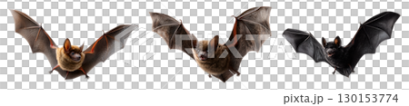 Set of flying bat for Halloween, isolated on transparent background. 130153774