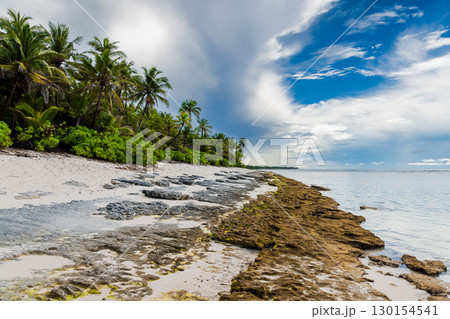 Paradise beach with leaning palm tree and ocean under blue sky 130154541