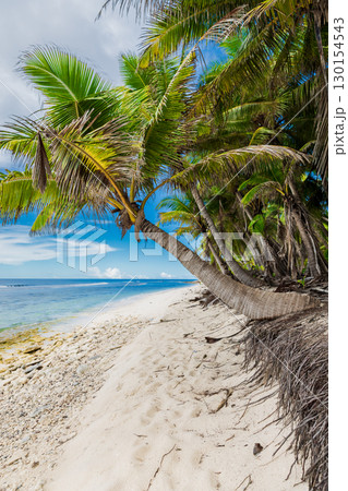 Tropical paradise beach with palm tree, white sand and sea under blue sky 130154543