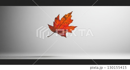 Single Red Autumn Maple Leaf Floating White Background Minimalist Photography Nature Image dry fall Single Red Autumn Maple Leaf Floating White Background Minimalist Photography Nature Image dry fall 130155415