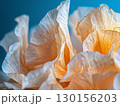 Close-Up of Delicate Dried Flower Petals on White Background 130156203