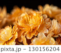 Close-Up of Delicate Dried Flower Petals on White Background 130156204