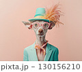 Stylish Dog in Colorful Attire with Feathered Hat and Glasses 130156210