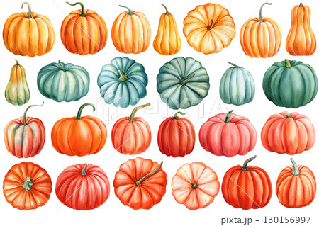collection Pumpkins, autumn pumpkin set on isolated white background, watercolor illustration hand drawn 130156997