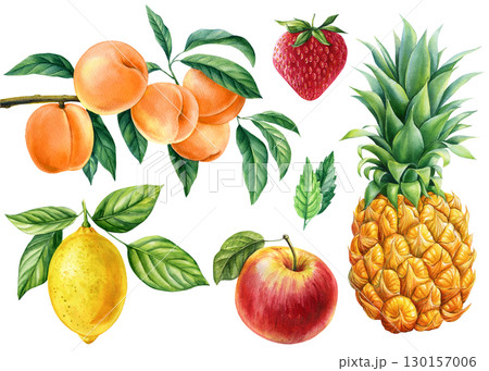 Fruits set, lemon, apple, strawberry, pineapple and peach on white background. Watercolor hand drawn illustration 130157006