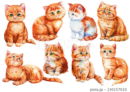 Set of cute kittens hand drawing, red cat on an isolated white background. Watercolor illustration kitten Set of cute kittens hand drawing, red cat on an isolated white background. Watercolor illustration kitten 130157010