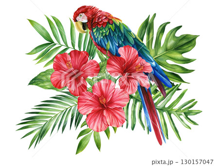 Beautiful bird. Macaw red parrot, flowers and leaf in isolated background. Watercolor illustration, tropical poster 130157047