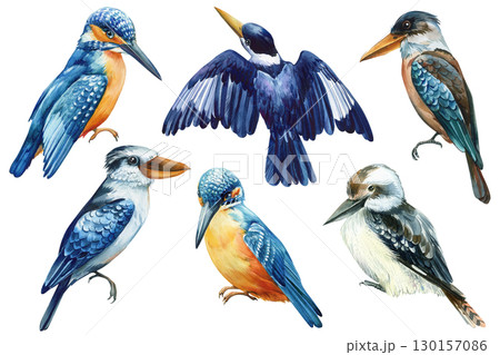 Set of birds, kookaburra and kingfisher on a white isolated background, watercolor hand drawn painting. Australian bird Set of birds, kookaburra and kingfisher on a white isolated background, watercolor hand drawn painting. Australian bird 130157086