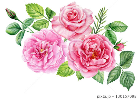 Beautiful flowers. Roses, buds and leaves on a white background, watercolor painting, pink floral illustration Beautiful flowers. Roses, buds and leaves on a white background, watercolor painting, pink floral illustration 130157098