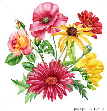 flower and leaf. Set of flowers isolated on white background, watercolor vintage style Gerber, echinacea and  130157104